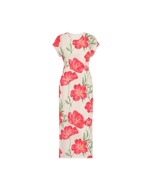 Yumi' Red Neutrals Ivory Poppy Print Midi Mesh Dress