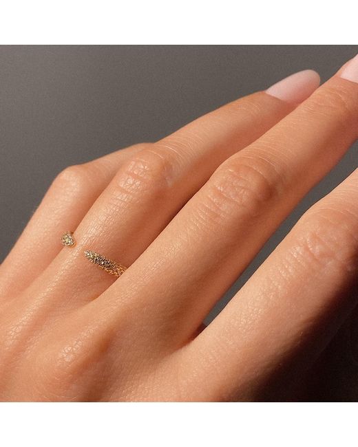 Aaria London Metallic Claw Ring