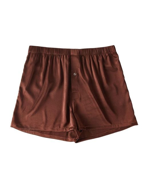 Soft Strokes Silk Brown Deep Coffee Pure Mulberry Silk Boxers for men