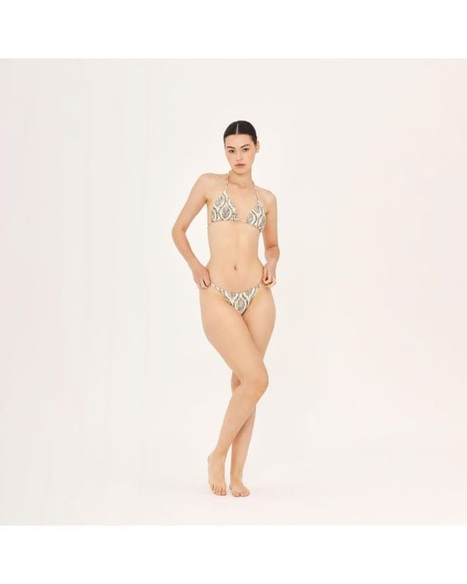Aguaclara Metallic Sultana Triangle Top