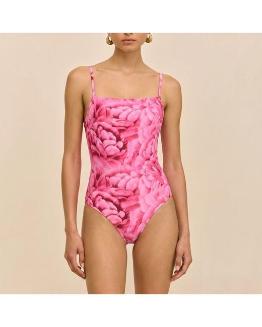 Room 24 Pink Rosie One Piece Swimsuit