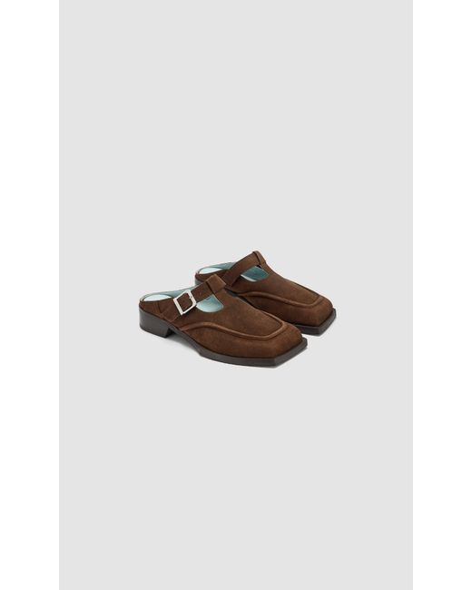 PREVU Brown Lou