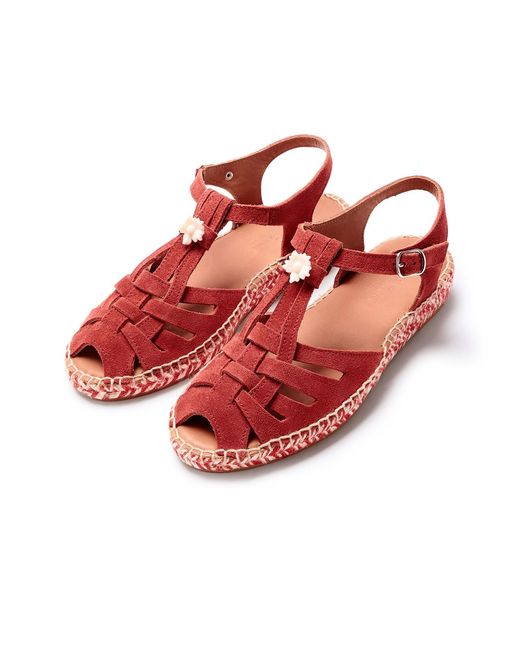 Naguisa Red Musel Bicolor