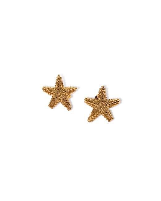 Jaredjamin White Sea Star Stud Post Earrings