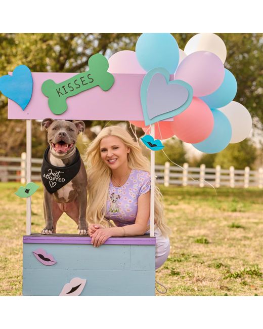 Cloud Haven Pink Daisy Pittie Tee