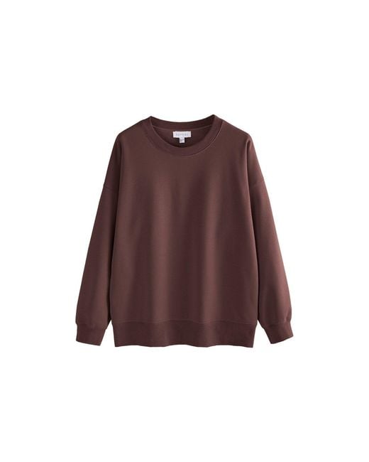 Supesu Brown Cubby Sweater, Oversized