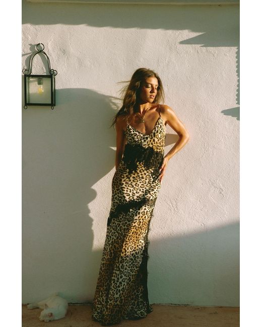 Wild Lovers Brown Honeycomb Dress