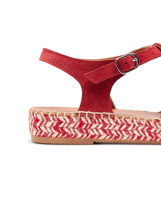 Naguisa Red Musel Bicolor