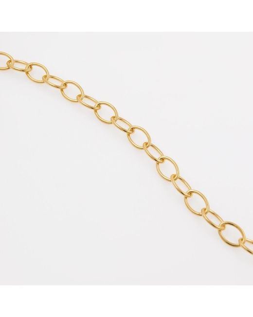 Cote Cache Metallic Oval Link Chain Necklace