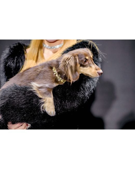 Arte Madrid Metallic Pet It On Cluster Necklace