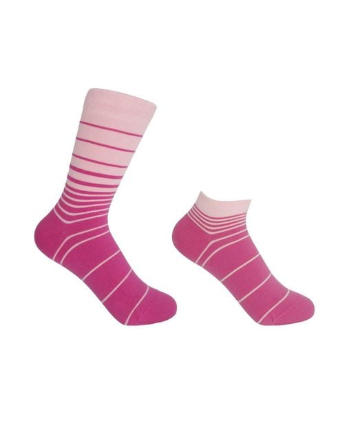 Peper Harow - Made in England Pink Retro Stripe Luxury Crew & Trainer Socks Bundle