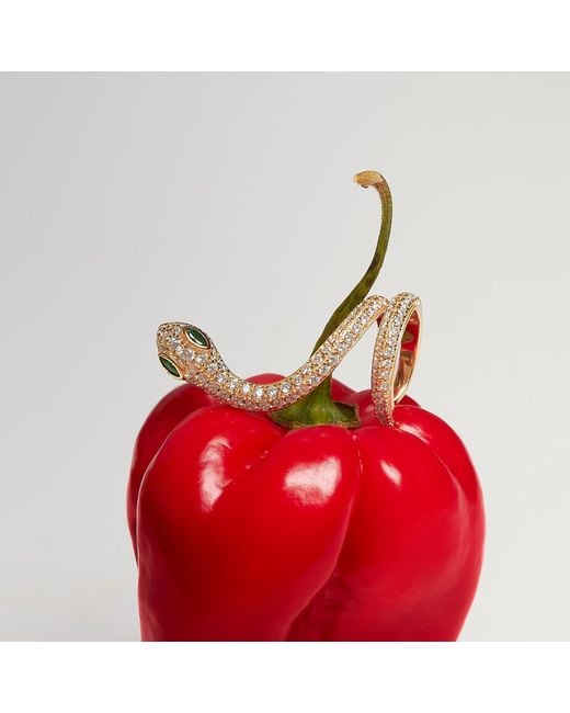 The Link Between White Serpent Ear Climber