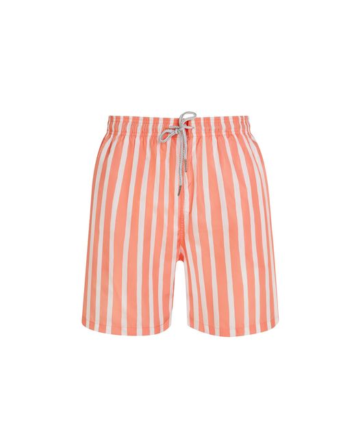Robert & Son Red Stripe Swim Shorts for men
