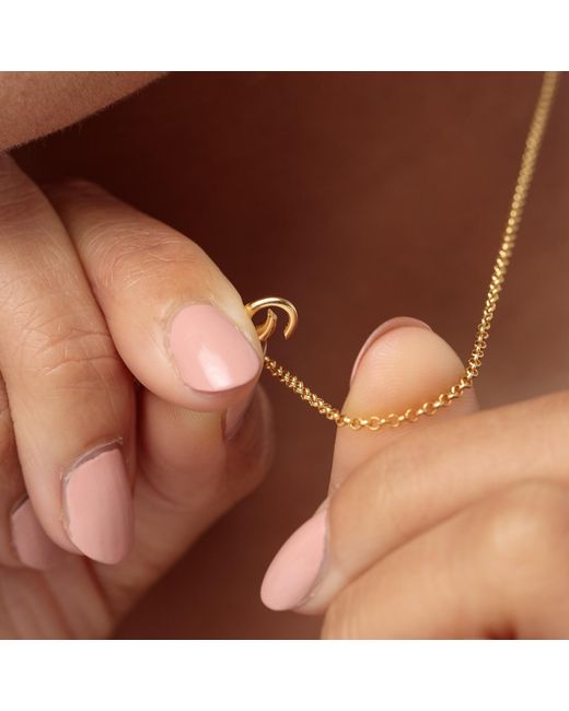 Lily Charmed Metallic Plated Mixed Link Charm Collector Necklace
