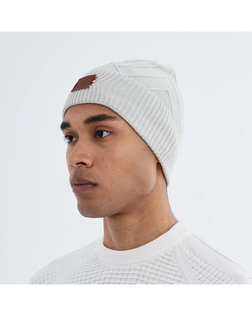 Norbron Gray Bonham Light Beanie for men