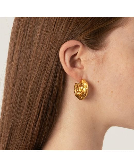 EVA REMENYI Metallic Origin Earrings