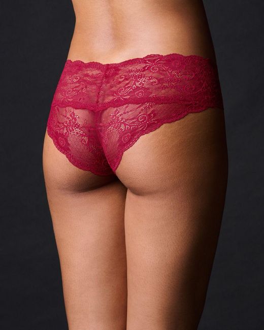 Journelle Red Sapna Hipster Claret