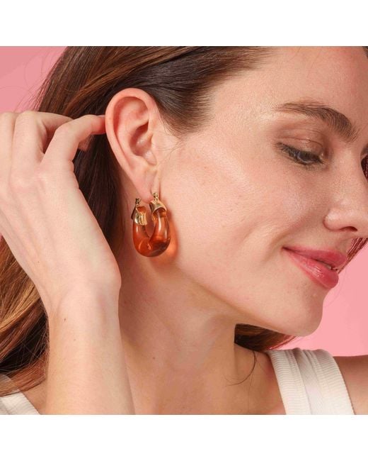 Michael Nash Jewelry Metallic Winslow Topaz Resin And Hoop Earrings