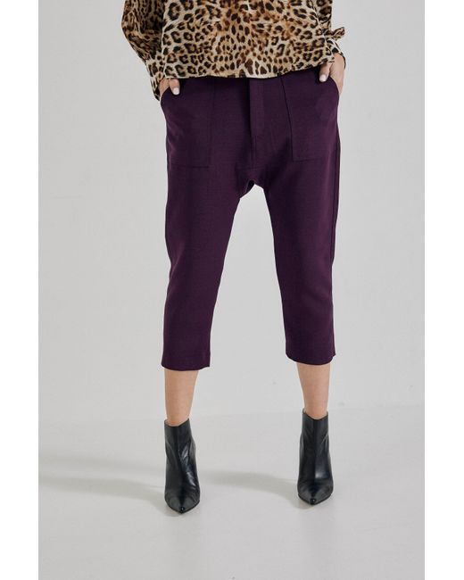 Lindsay Nicholas New York Purple Maverick Drop Crotch Pant