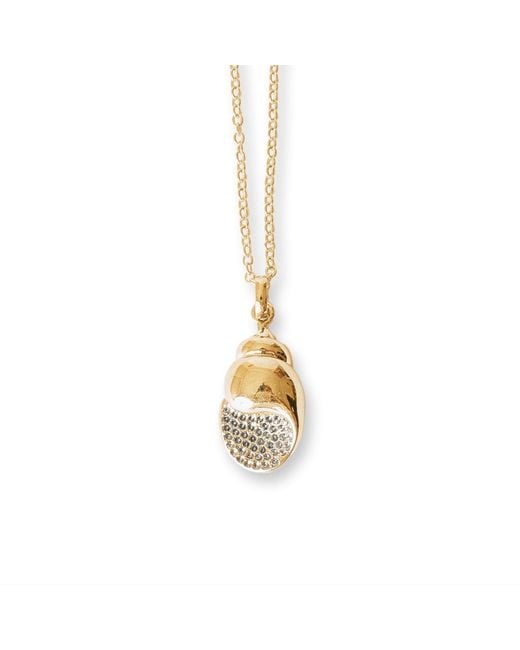 Classicharms Metallic Lexi Crystal Seashell Pendant Necklace