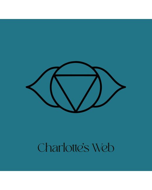 Charlotte's Web Jewellery Metallic Third Eye Chakra Necklace for men