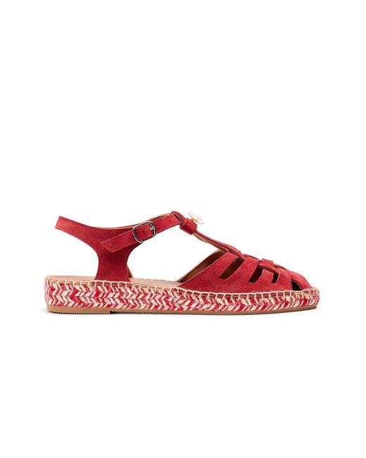 Naguisa Red Musel Bicolor