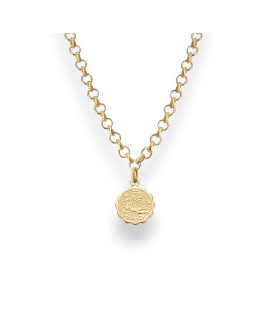 Alexie of Athens Metallic Aquarius Zodiac Mini Medallion Chain Necklace