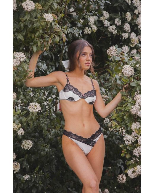 Wild Lovers Black Esme Brief