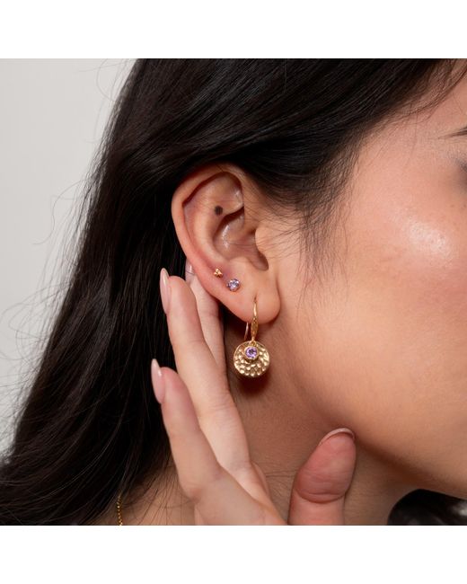 Dower & Hall Multicolor Amethyst Orissa Studs