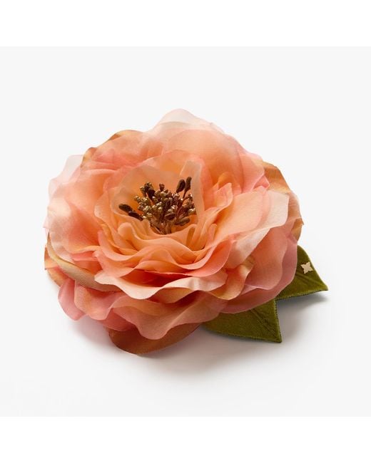 Helena Simon Orange The Peach Open Rose Floral Brooch