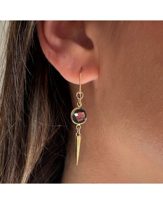 Rachel Nathan Multicolor Classic Hook: Plum & Spike Earrings