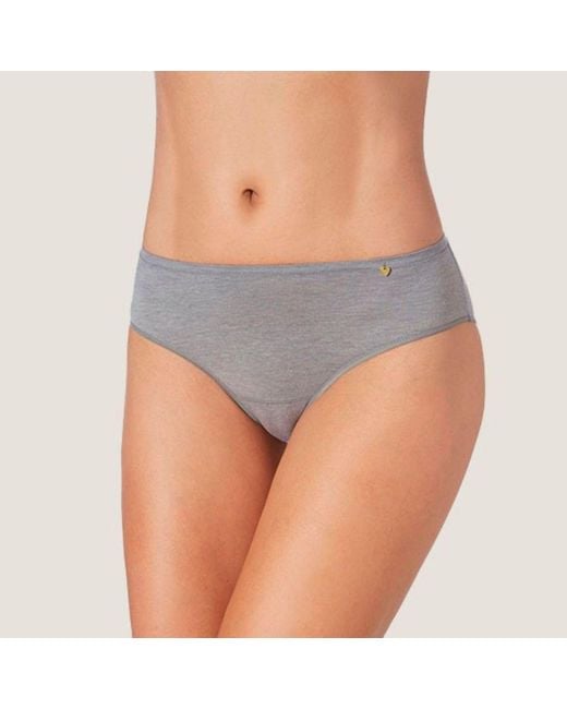 Zd - Zero Defects Gray Mid-Rise Diana Briefs