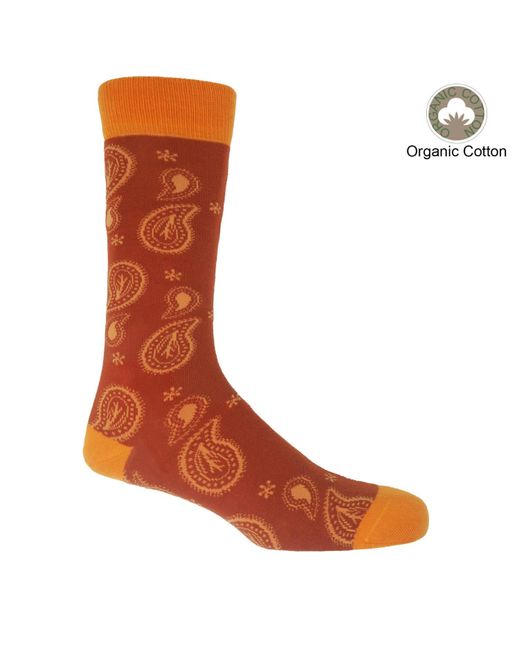 Peper Harow - Made in England Orange Organic Sock Bundle for men
