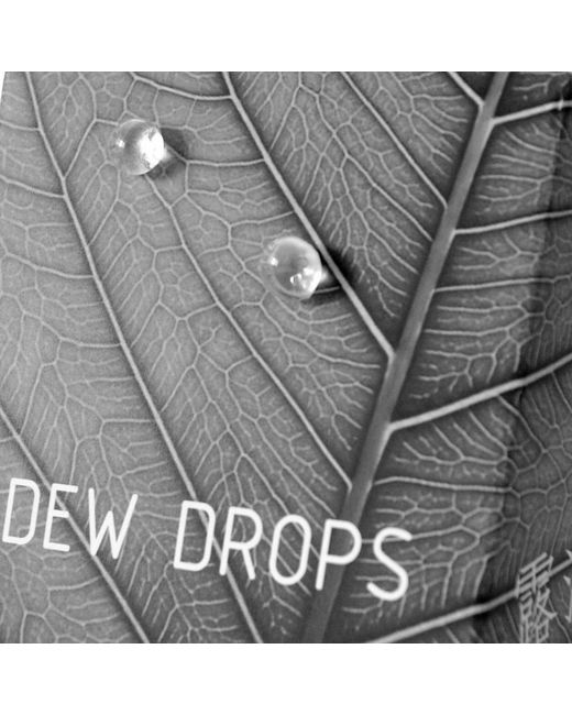 Laura Daili White Neutrals Dew Drops