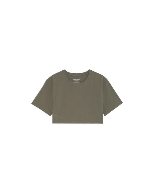 Storm Green Easy Crop Top