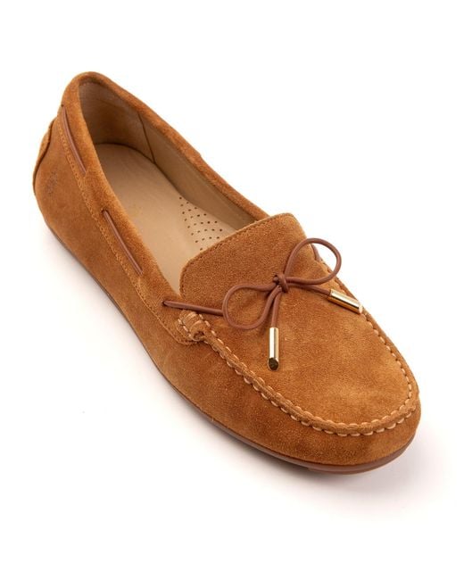 Franchetti Bond Brown Elodie Toasted Tan Suede