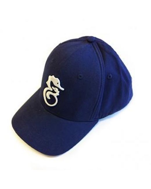 Robert & Son Blue Robert And Son Cap for men