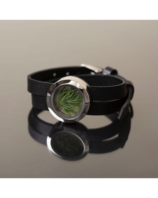 My Little Nature Blue Designer Leather Bracelet With Preserved Pine Needles – Sustainable Jewelry