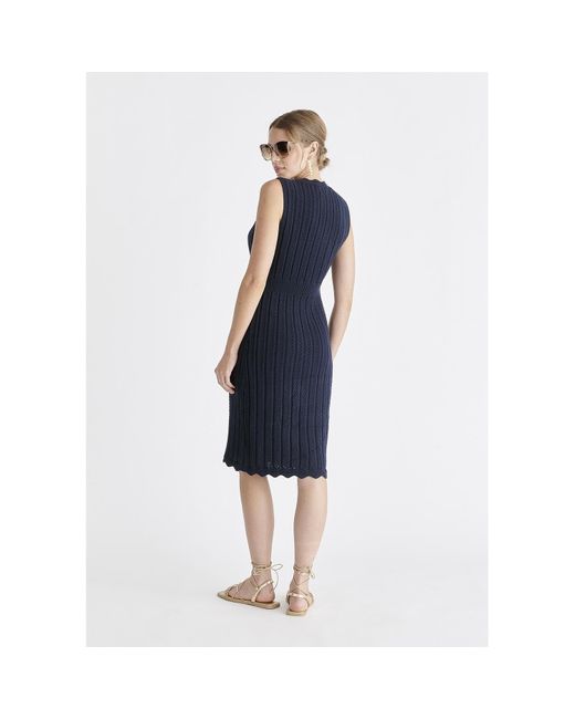 Paisie Blue Pointelle Knitted Dress In Navy