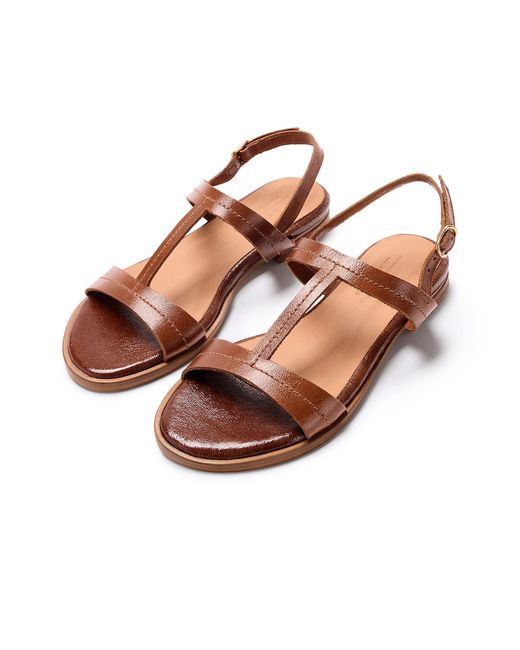 Naguisa Brown Altea Gloss