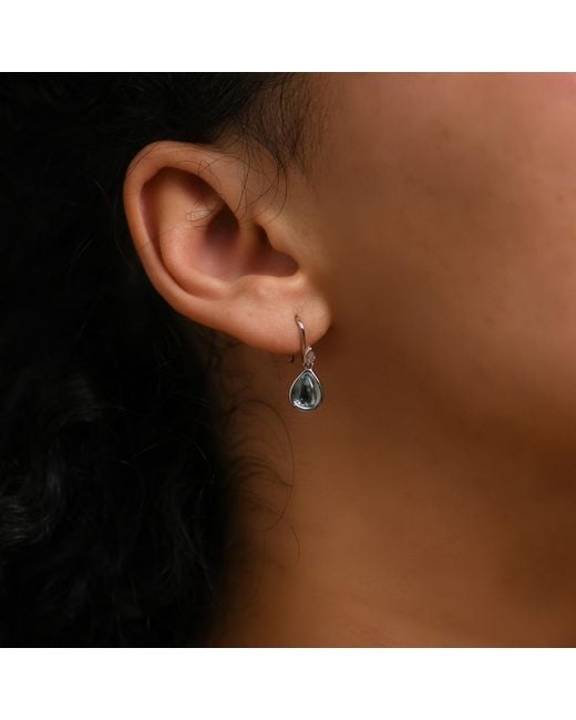 Janus Edinburgh Blue Scarab Sterling With Topaz Drop Earrings