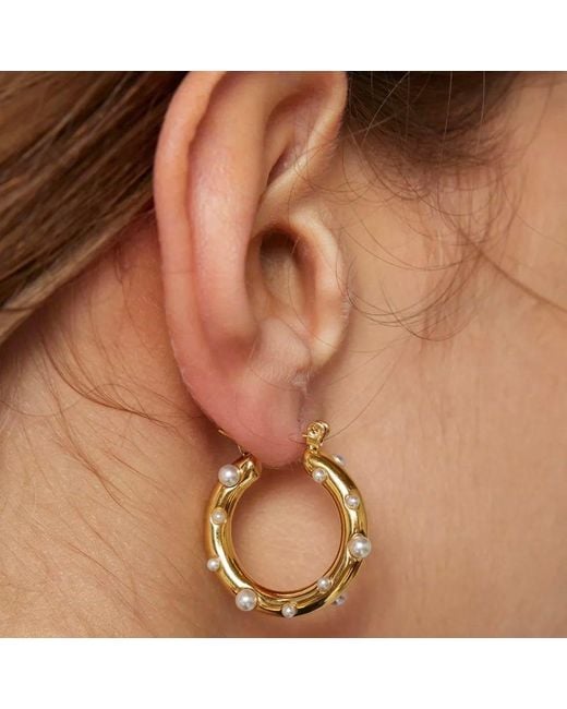 Ellie Vail Jewelry Metallic Nicoletta Pearl Hoop Earring