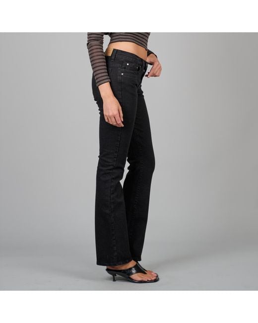 Love and Nostalgia Blue Killer Low Rise Bootcut Jean