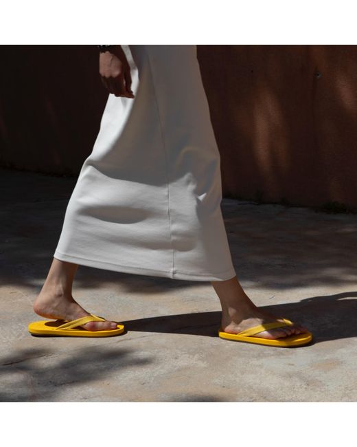 Akvo Yellow Tethys Sandal