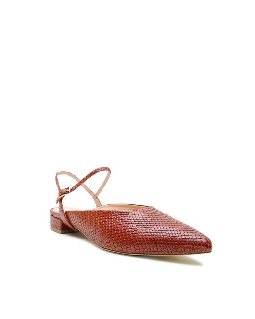 Alterre Red Snake Amal Point Slide