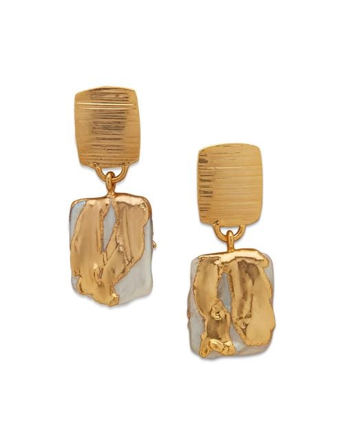 Dhwani Bansal Metallic Zuri Drop Earrings With Baroque Pearls