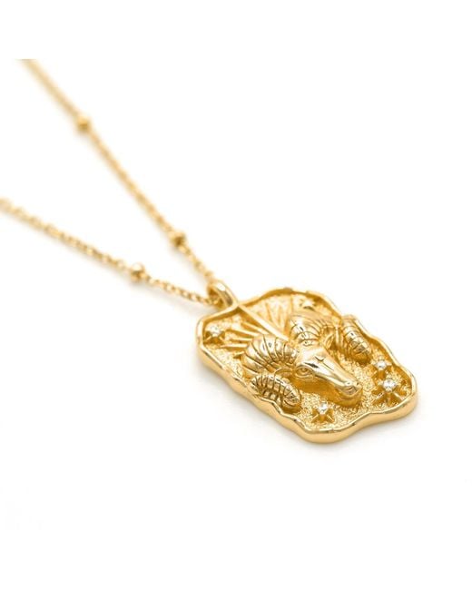 Luna Charles Metallic Solara Zodiac Necklace