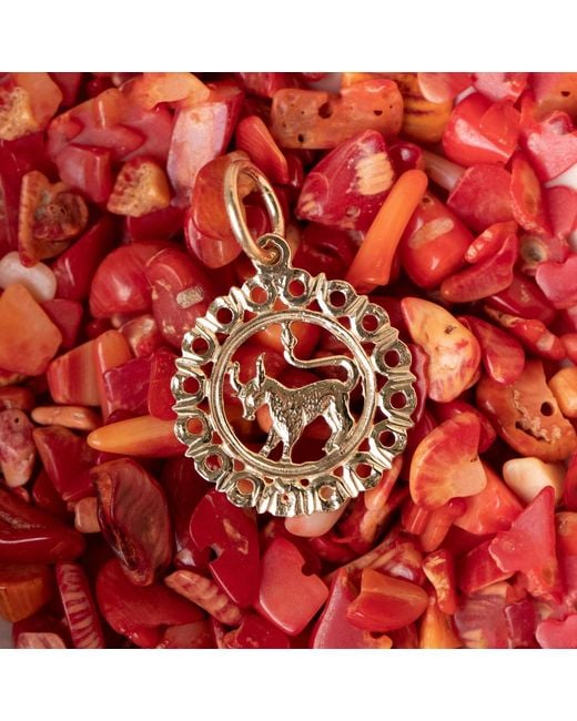 Maya Brenner Metallic Zodiac Pendant