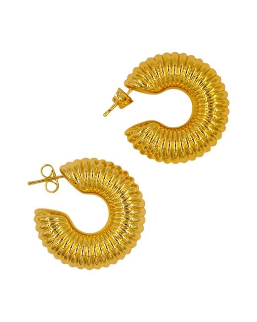 1610Istanbul Metallic Istanbulite Hoop Earrings