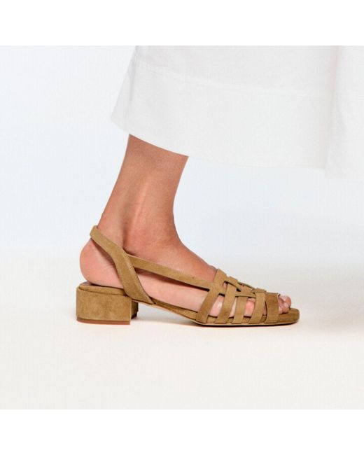Naguisa Brown Ima Camel